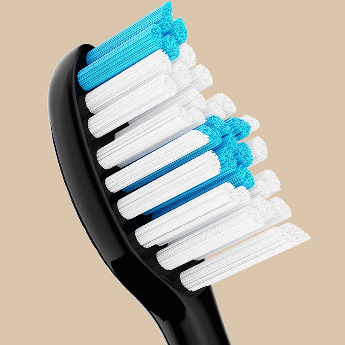 Replacement Brush Heads