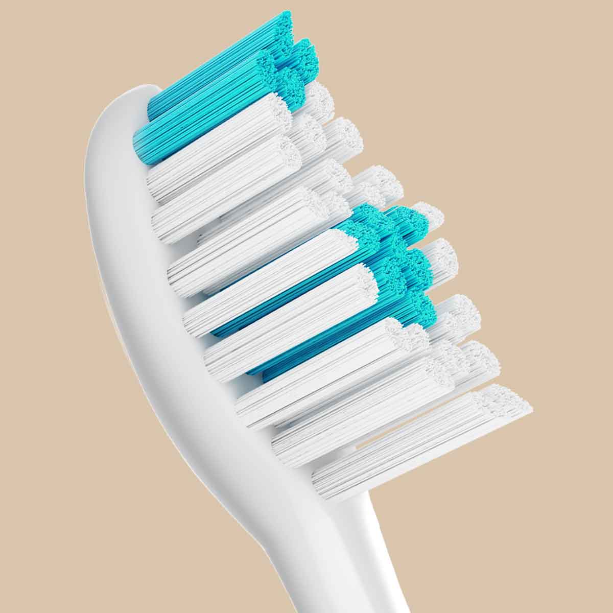 Replacement Brush Heads