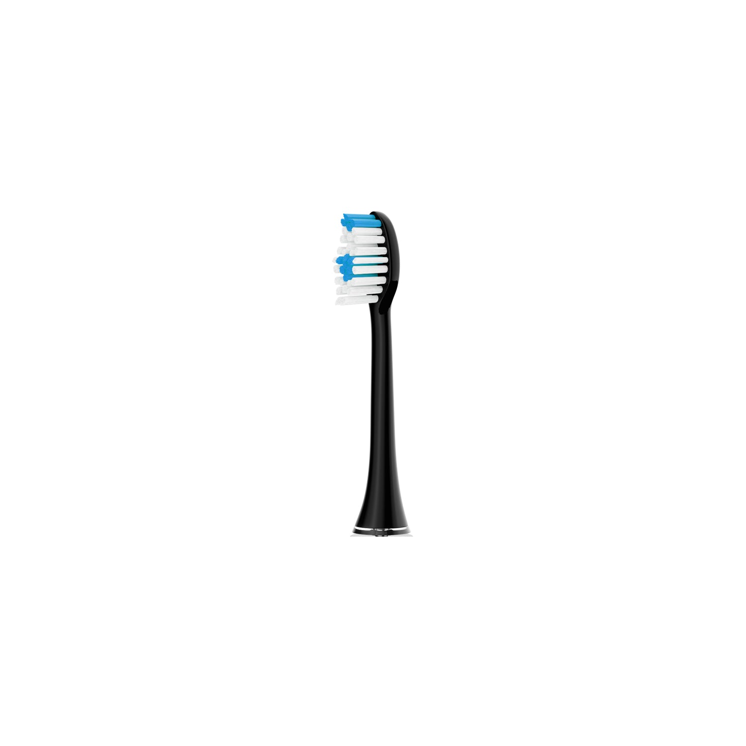 Toothbrush Head