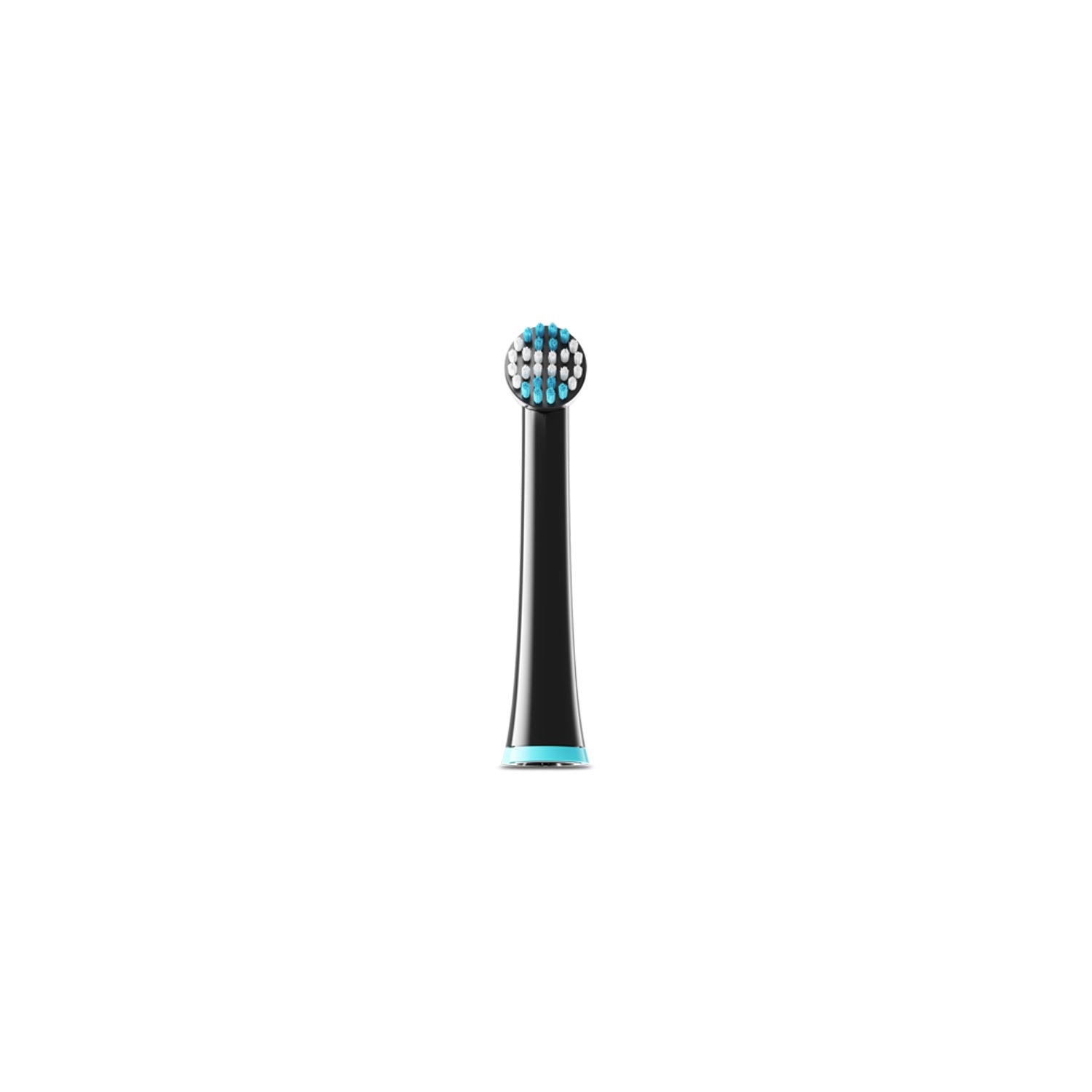Toothbrush Head