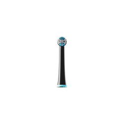 Toothbrush Head