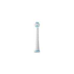 Toothbrush Head