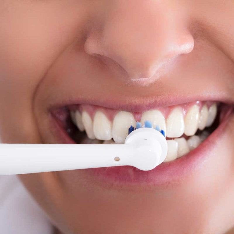 Toothbrush Head