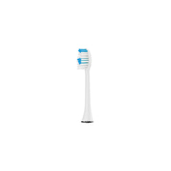 Toothbrush Head