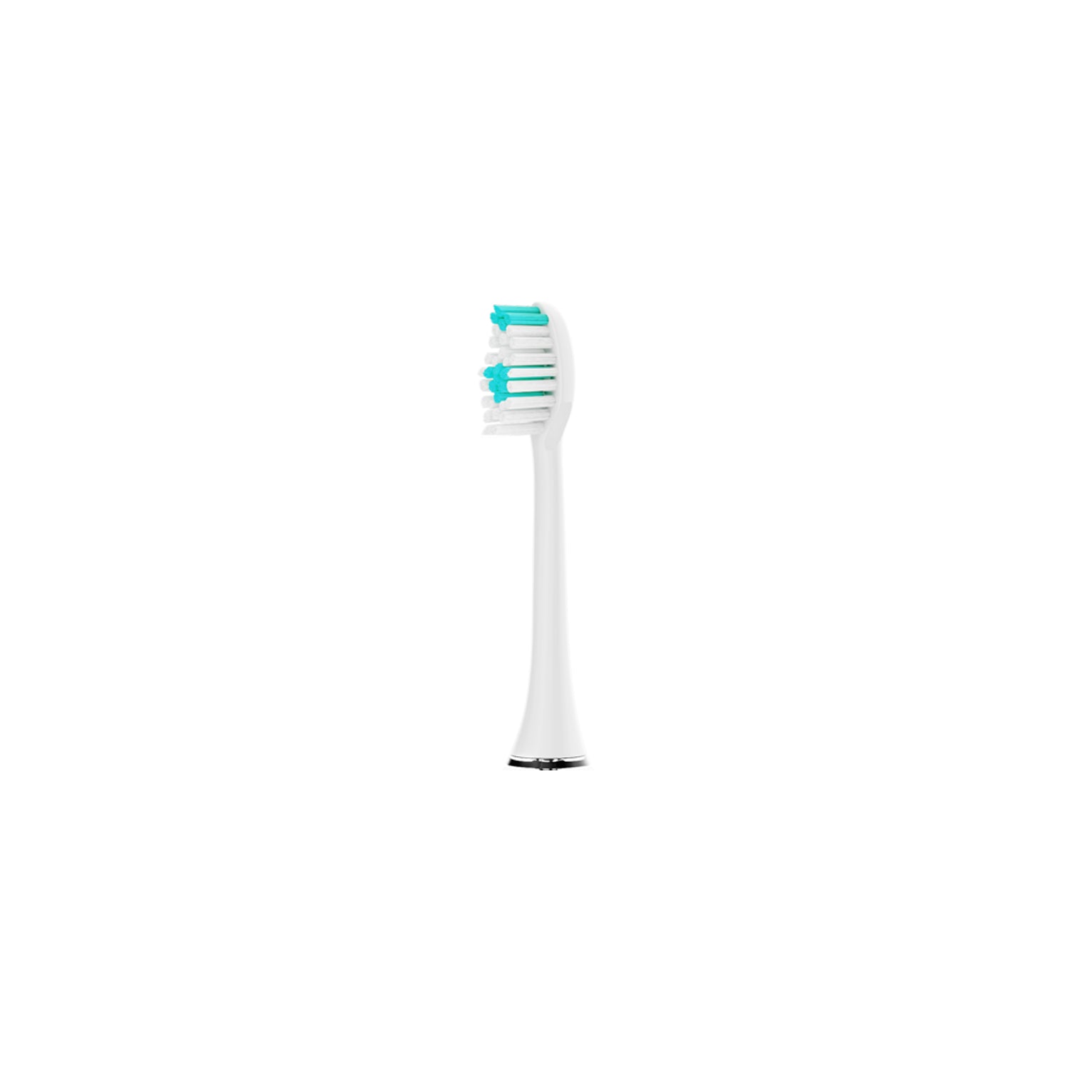Toothbrush Head