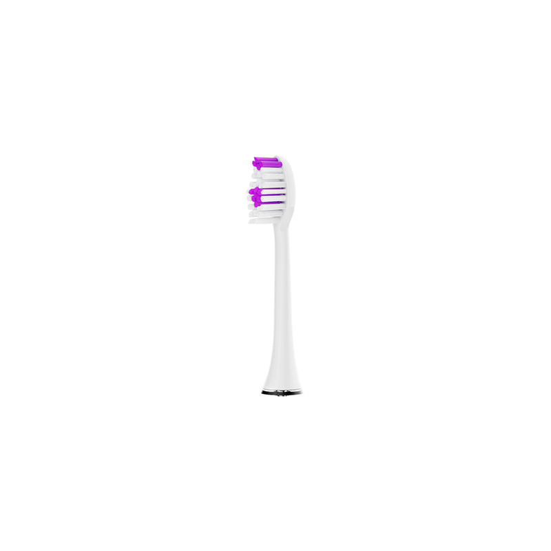 Toothbrush Head