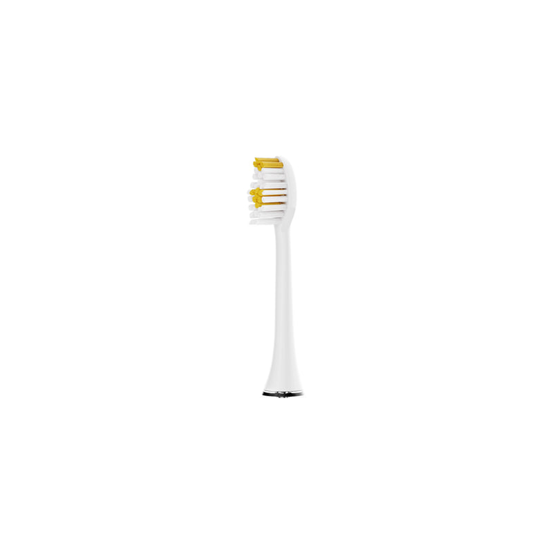 Toothbrush Head
